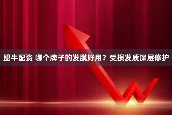 盟牛配资 哪个牌子的发膜好用?受损发质深层修护